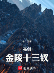 《亮剑金陵十三钗》