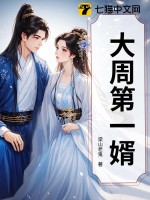 《大周第一婿》