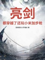 《亮剑：都穿越了还玩小米加步枪？》