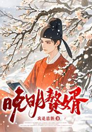 《晚明赘婿》