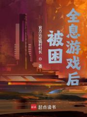 《被困全息游戏后》