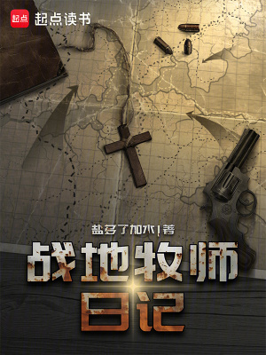 《战地牧师日记》