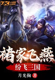 《褚家飞燕纷飞三国》