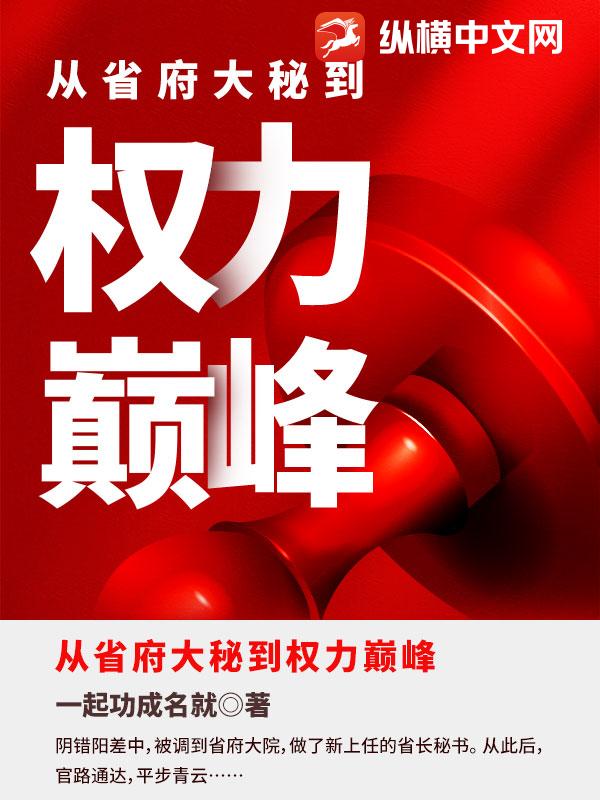 《从省府大秘到权力巅峰》
