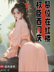 《权臣西门庆，篡位在红楼》