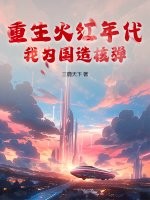 《重生火红年代，我为国造核弹》