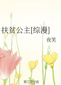 扶贫公主