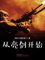 《从亮剑开始崛起》