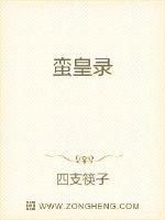 《蛮皇录》