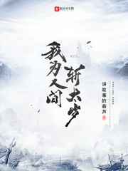 《我为人间斩太岁》