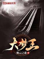 《大梦王》