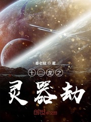 《十二龙之灵器劫》