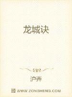 《龙城诀》